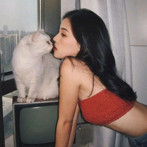 温柔可爱女生头像文案