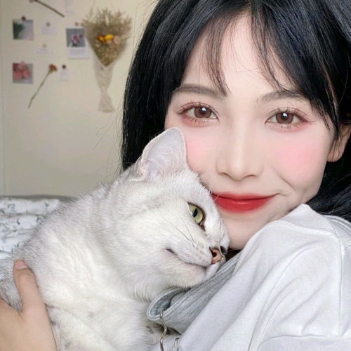 山风吹拂我的心女头优质