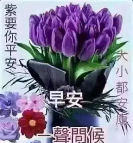 超级温馨的祝福语适合群发给好友的唯美鲜花带字高清图片