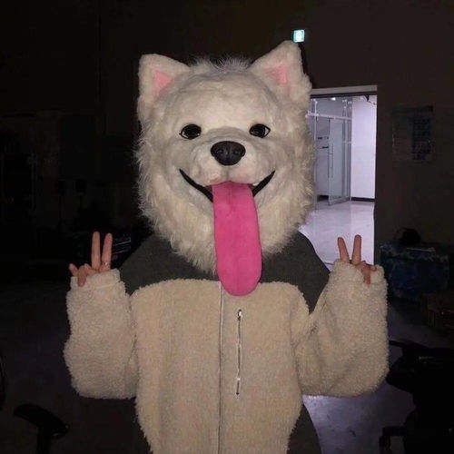 来一波搞怪头像