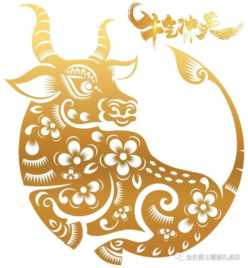 辞旧迎新张灯结彩