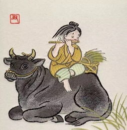 1997年属牛的是什么命