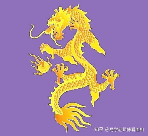 男女属龙的属相婚配表大全