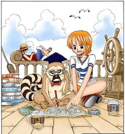 被称为小贼猫的海贼王女孩那些娜美酱有趣的扉页故事