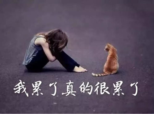 2020度最心酸的句子
