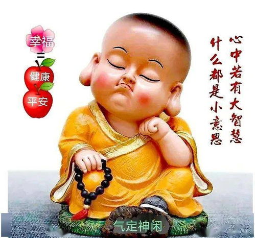 风雨人生,淡然在心
