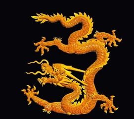 生肖龙请集中注意力,准备收钱钱财向你涌来