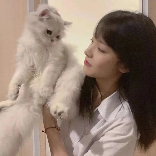 抱猫女头向着月亮出发