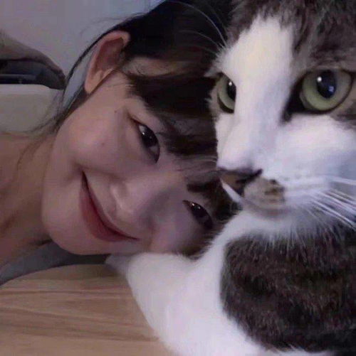 女头像是猫说明单身单身