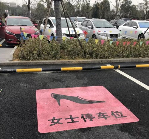 高速服务区惊现加大号女性停车位网友这波操作不知道该高兴还是