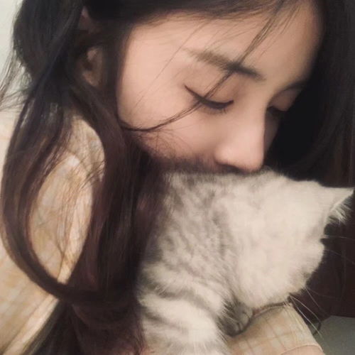 美少女头像,猫控报道,你是喵喵女神吗