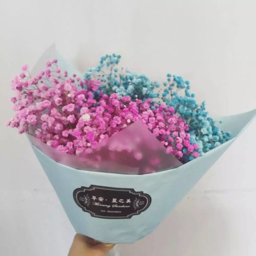 千言万语在心头,这次我要你手捧鲜花听我说