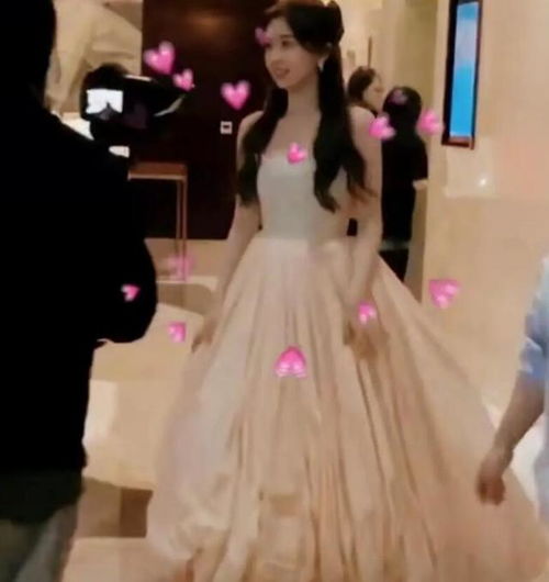 金鹰节晚会众女星盛装比美赵丽颖宋茜罕见撞款,刘涛星光裙绝美
