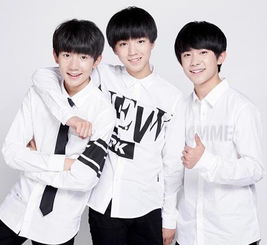 tfboys三人向天津爆炸遇难者捐三十万元