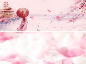 桃花樱花花瓣粉色唯美浪漫古美女背景素材图片设计高清模板下载2.25mb其他大全