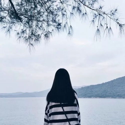 你在南方的艳阳天里看大海,我在北方的灵武过冬天