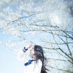 女生头像女头韩风堆糖,美好生活研究所