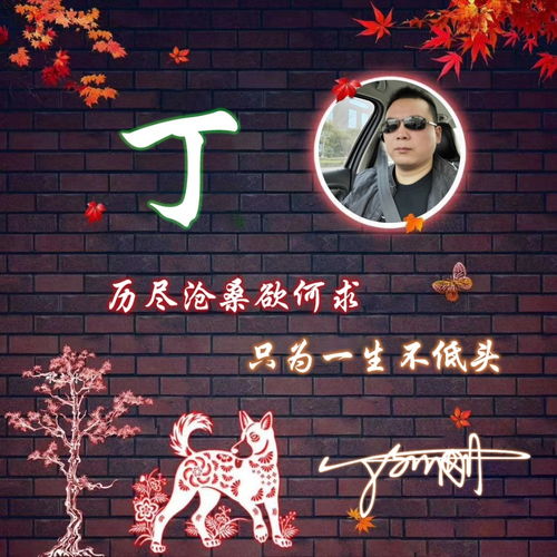 用你的名字做微信头像,十几款精致连笔签名头像,你留名我设计