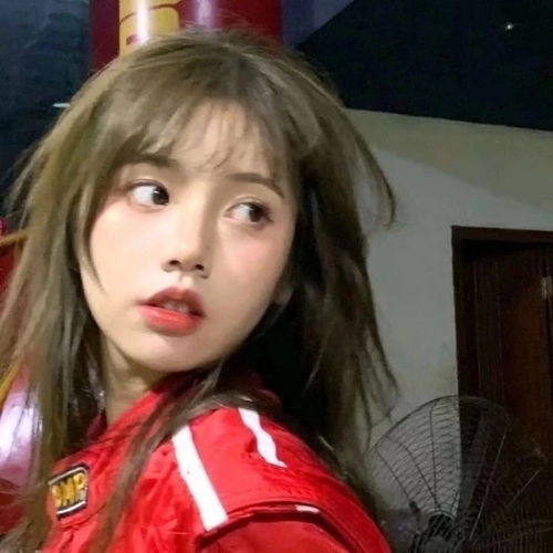 女生头像海鸥不眷恋大海的话可以飞的更高腾讯新闻
