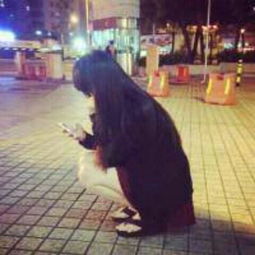 qq头像高清女生小清新背影