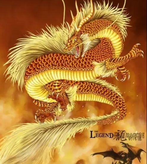 属龙人在2021年从事什么事业可以发财,一碰就赚钱