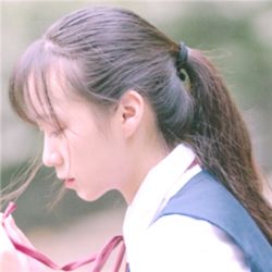 玫瑰和枪膛皆为殿下候命