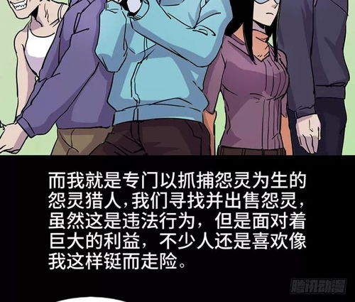 整容液之宠物