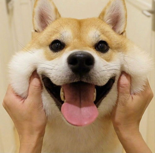 化妆