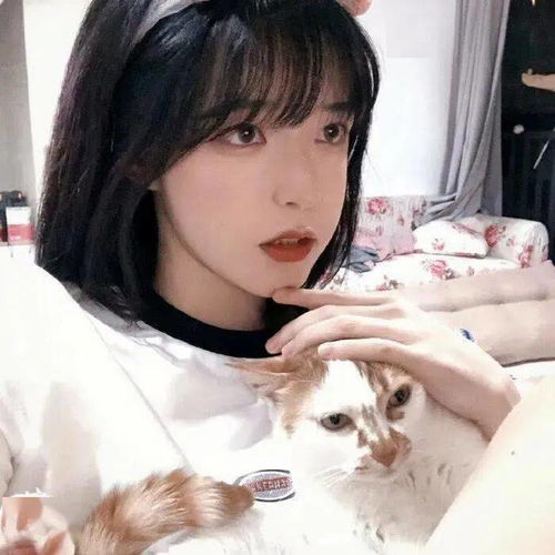 头像图片丨女生头像丨可爱的猫系女头1214