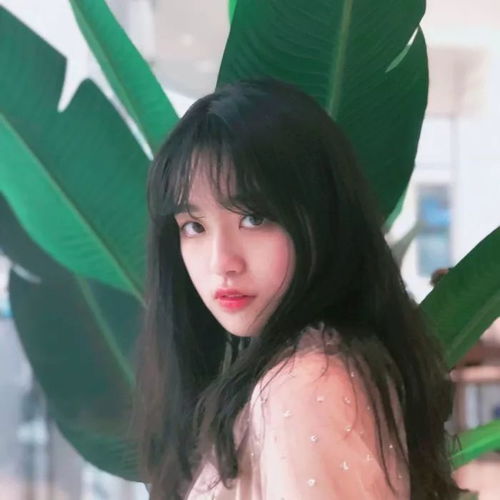 小清新女生头像大全