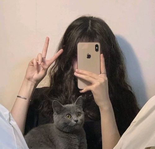 不露脸女头清晨的粥比深夜的酒好喝