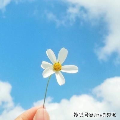 3月4日31日,万事顺心顺意,财运冲天,必富得流油的4生肖