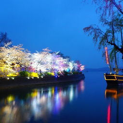 2018鼋头渚旅游攻略门票地址游记点评,无锡旅游景点酒店购物美食推荐去哪儿攻略社区