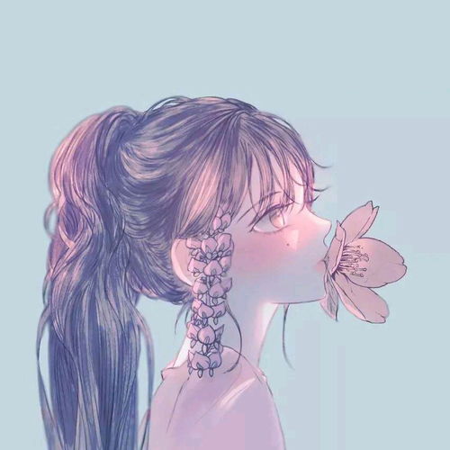 哔哩哔哩专栏