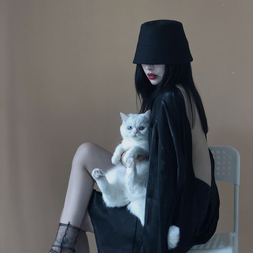 帅哥美女和猫合照,谁顶得住啊尖叫