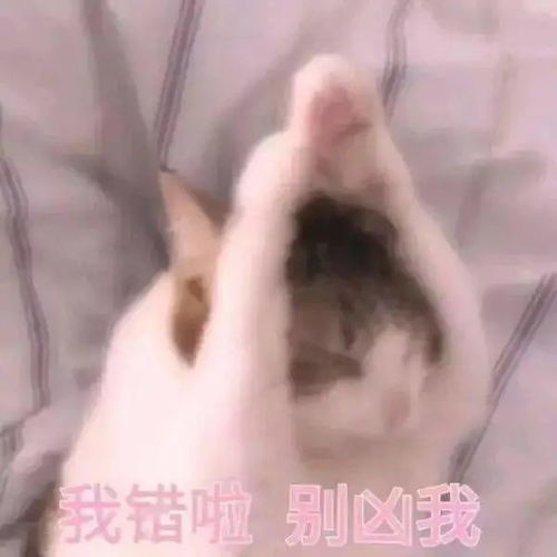 哄女朋友开心的表情包,低头认错