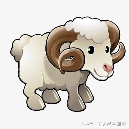 这三大生肖女,全身上下都是优点脸蛋漂亮,身材苗条,性格温柔属相生肖羊生肖猪生肖兔四大生肖网易订阅
