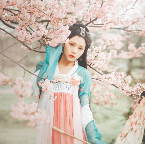 12月星座运势桃花不请而来,邂逅真爱度余生