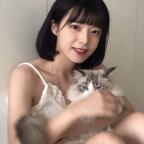 浪漫致亡