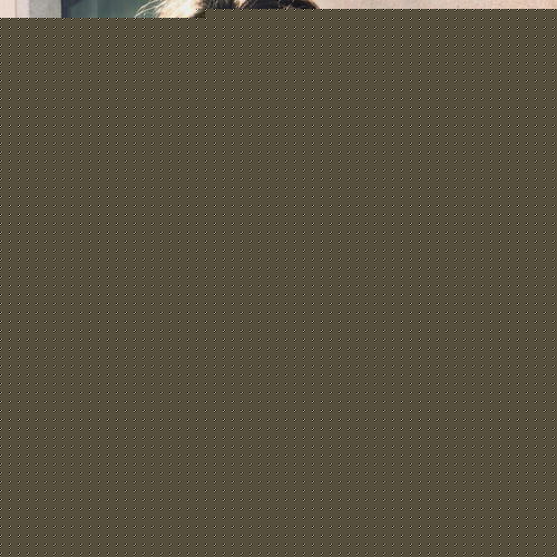 头像优质女生头像分享