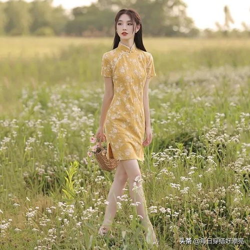 第57章黄色蕾丝年轻少女高端高贵气质旗袍