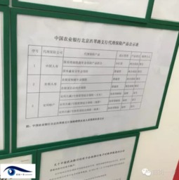 女子存款被骗买保险欲退款发现合同期为104年