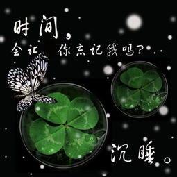 求两个qq头像给15分