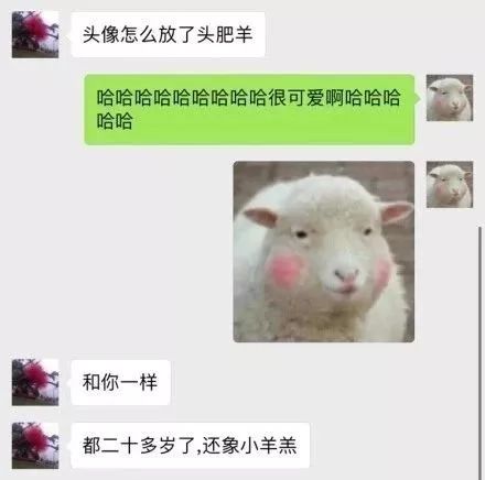 你这头像不好看,赶紧给我换了