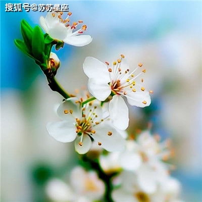 2021年6月16日十二星座运势解析