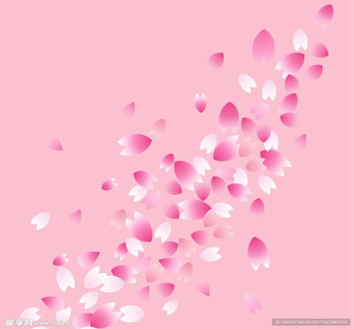 樱花花瓣背景设计图