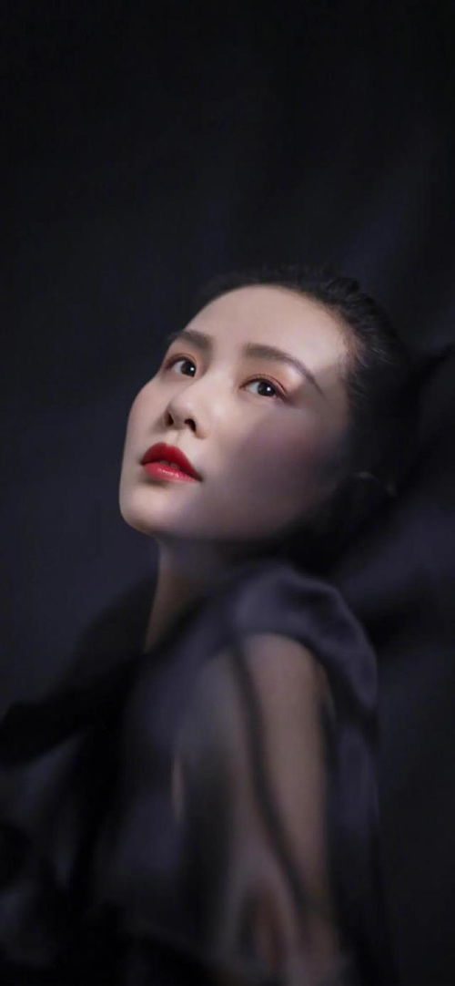 美女壁纸第299期刘诗诗
