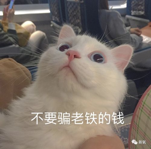 和渣男分手后再出现的阚清子太好看了吧脸小一整圈