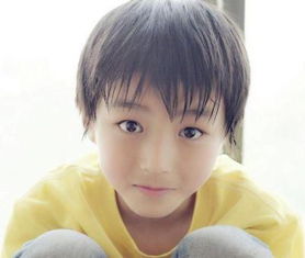 少年组合tfboys的故事你知多少