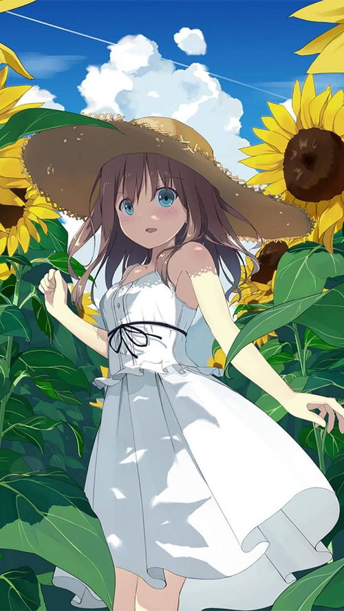 原创中篇小说夏之诗